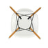DSW Plastic Eames Chair / Fabric Seat / Maple Base